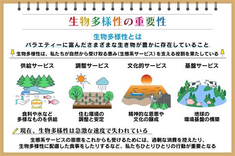 木動物|木の遺伝的な多様性が、樹上の生態系の多様性をつ。